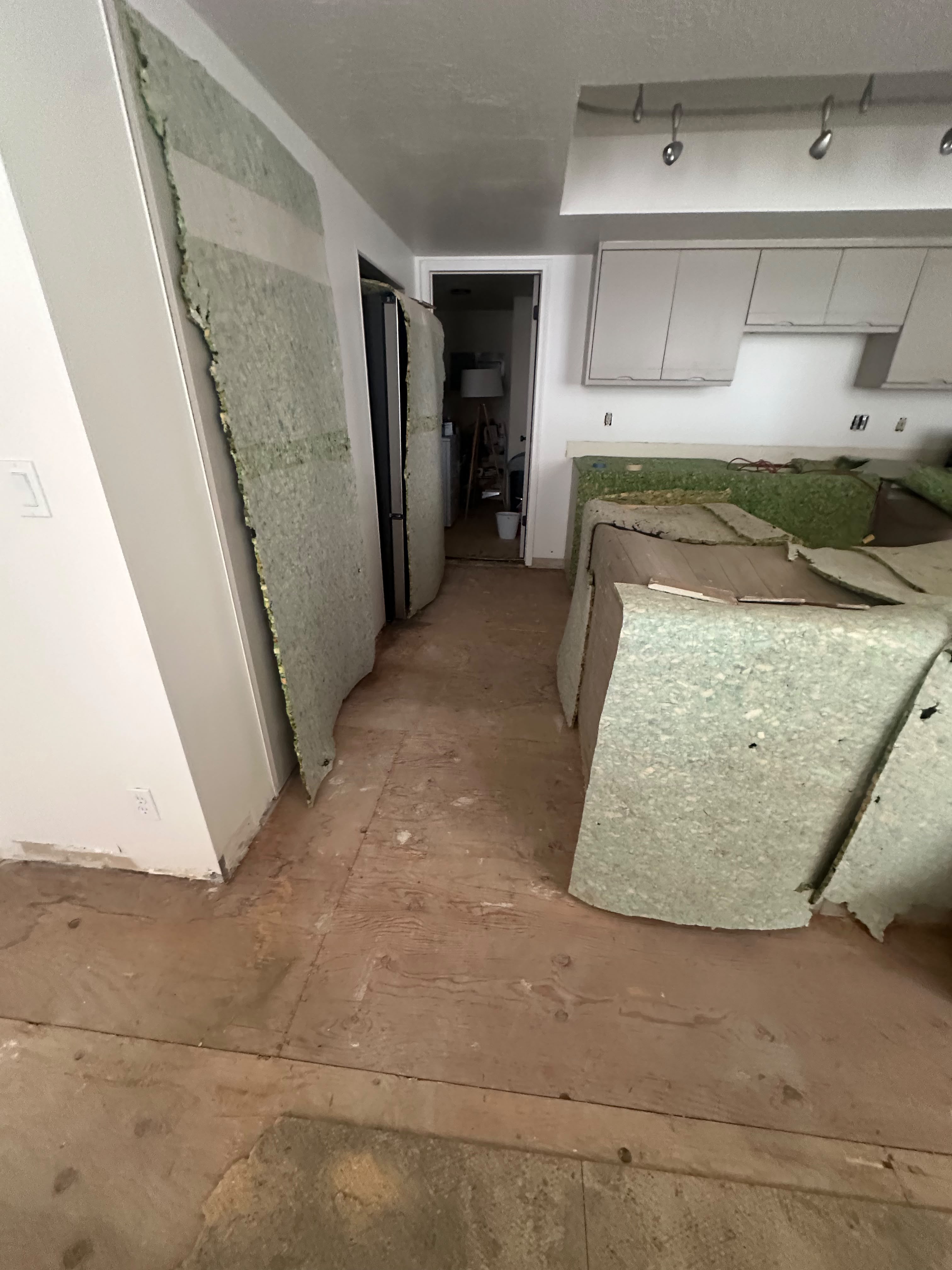 Proyecto de remodelación 3